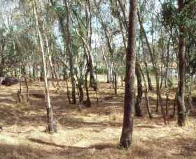 Chiltern-Mt Pilot National Park - Attractions Melbourne 0