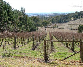 Habitat Vineyard - Attractions Melbourne 0