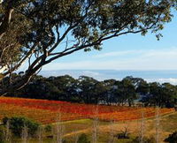 Bloodwood Estate