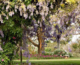 Wombat Heights Orchard And Grog Shed - Attractions Melbourne 2