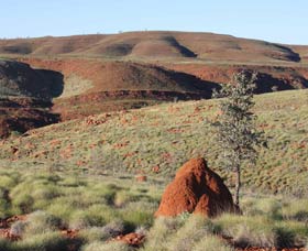 Camel Trail, Millstream-Chichester National Park - Attractions Melbourne 0