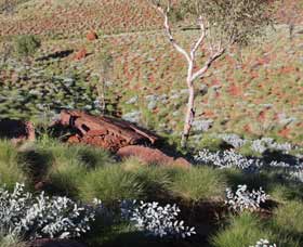 Camel Trail, Millstream-Chichester National Park - Attractions Melbourne 2