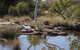 Camel Trail, Millstream-Chichester National Park - thumb 3