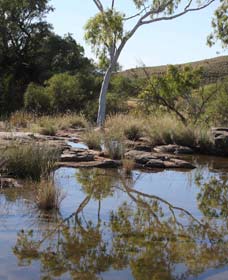 Camel Trail, Millstream-Chichester National Park - Attractions Melbourne 3