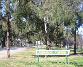 Memorial Avenue In Cowra - Attractions Melbourne 1