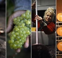 Ross Hill Wines - Attractions Melbourne