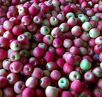 Hillside Orchard - Attractions Melbourne