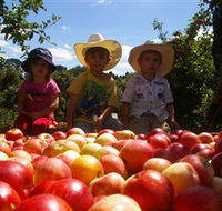 Bonny Glen Fruits - Attractions Melbourne