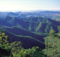 Kroombit Tops National Park - Attractions Melbourne