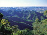 Kroombit Tops National Park