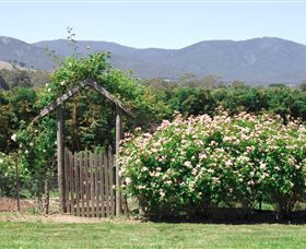 Samaria Farm - Attractions Melbourne 2