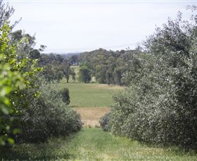 Samaria Farm - Attractions Melbourne 7