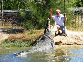 Koorana Crocodile Farm - Attractions Melbourne 1