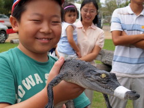 Koorana Crocodile Farm - Attractions Melbourne 2