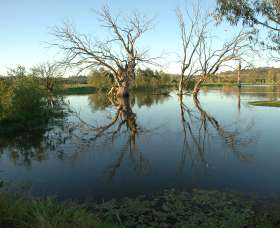 Wonga Wetlands - Attractions Melbourne 4