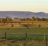 Holbrook Landcare Self-Drive Eco Tour - Attractions Melbourne