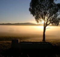 Patina Wines - Attractions Melbourne