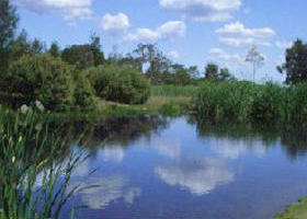 Yan Yean Reservoir Park - Attractions Melbourne 0
