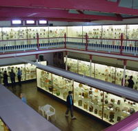 National Museum of Australian Pottery - Attractions Melbourne