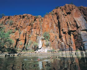 Python Pool - Attractions Melbourne 1