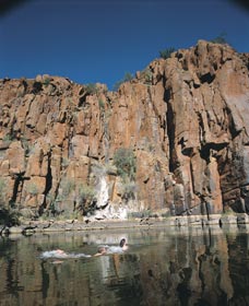 Python Pool - Attractions Melbourne 3