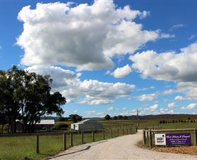Short Sheep Micro-Winery - Attractions Melbourne 8