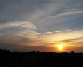 Beechworth Wine Estates - Attractions Melbourne 4