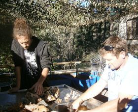 Three Creeks Tourist Gold Mine - Attractions Melbourne 1