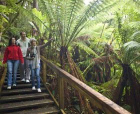  Attractions Melbourne