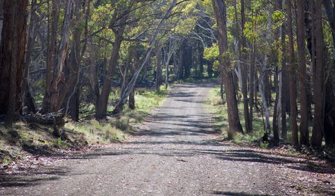 Coolah Tops National Park - Attractions Melbourne 1