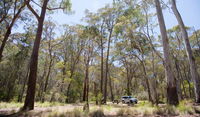 Coolah Tops National Park