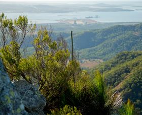 Mount Larcom Climb - Attractions Melbourne 1