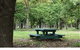 Lindsay Pryor National Arboretum - thumb 1