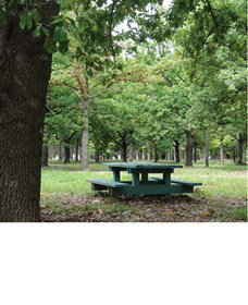 Lindsay Pryor National Arboretum - Attractions Melbourne 1