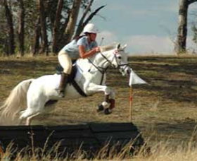 National Equestrian Centre - Kerrabee - Attractions Melbourne 0