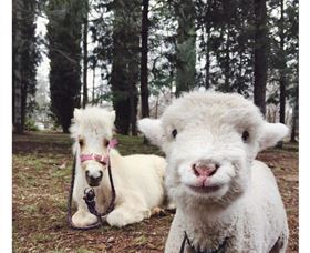 Yarralumla Play Station - Attractions Melbourne 1