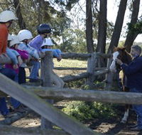 Harlow Park Horse Riding - Attractions Melbourne