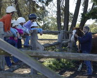 Harlow Park Horse Riding