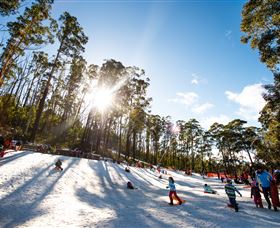 Corin Forest Mountain Resort - Attractions Melbourne 1