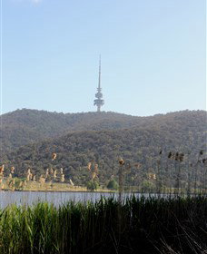 Black Mountain Peninsula - Attractions Melbourne 0