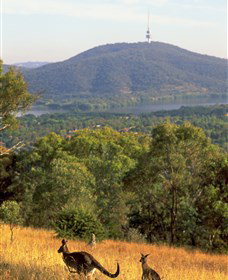 Canberra Centenary Trail - Attractions Melbourne 0