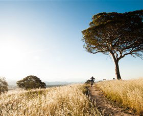 Canberra Centenary Trail - Attractions Melbourne 1
