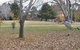 Disc Golf Course - thumb 2