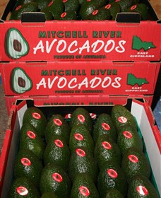 Southside Farmers Market - Attractions Melbourne 1