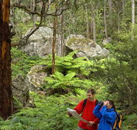 Centennial Glen - Attractions Melbourne