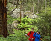 Centennial Glen