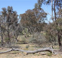 Remembrance Nature Park - Attractions Melbourne