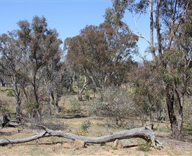 Remembrance Nature Park - Attractions Melbourne 0