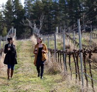 Mount Majura Vineyard - Attractions Melbourne