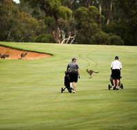 Federal Golf Club - Attractions Melbourne